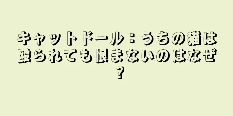 キャットドール：うちの猫は殴られても恨まないのはなぜ？