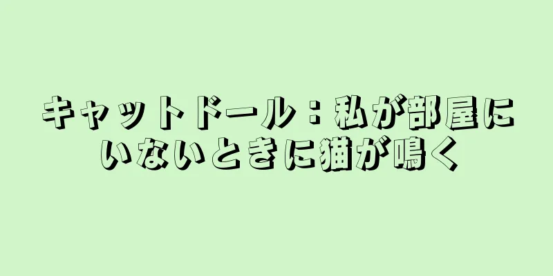 キャットドール：私が部屋にいないときに猫が鳴く