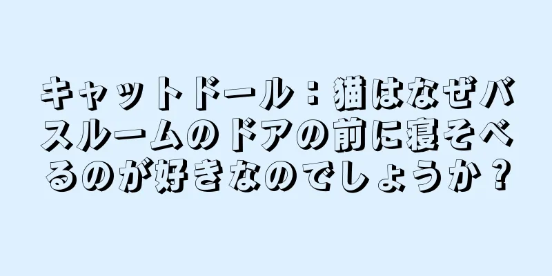 キャットドール：猫はなぜバスルームのドアの前に寝そべるのが好きなのでしょうか？