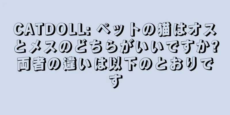 CATDOLL: ペットの猫はオスとメスのどちらがいいですか?両者の違いは以下のとおりです