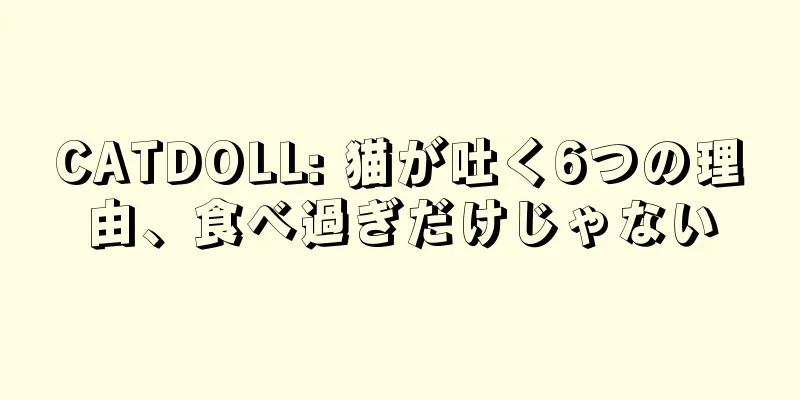 CATDOLL: 猫が吐く6つの理由、食べ過ぎだけじゃない