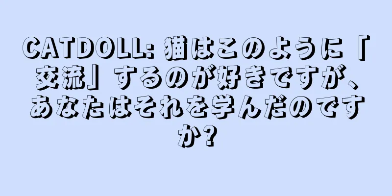 CATDOLL: 猫はこのように「交流」するのが好きですが、あなたはそれを学んだのですか?