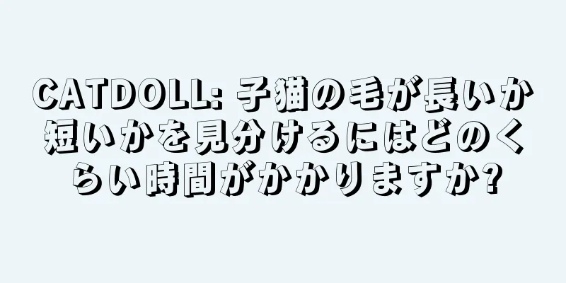 CATDOLL: 子猫の毛が長いか短いかを見分けるにはどのくらい時間がかかりますか?
