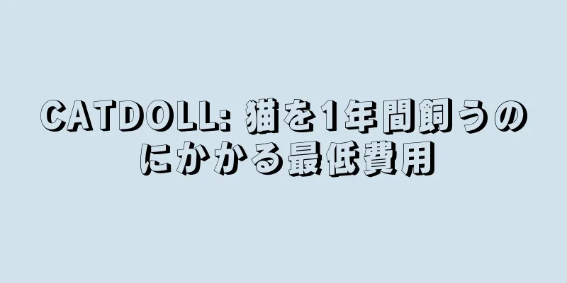 CATDOLL: 猫を1年間飼うのにかかる最低費用