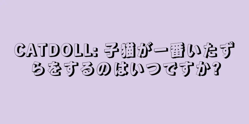 CATDOLL: 子猫が一番いたずらをするのはいつですか?