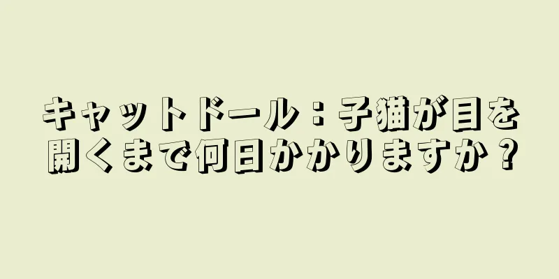 キャットドール：子猫が目を開くまで何日かかりますか？