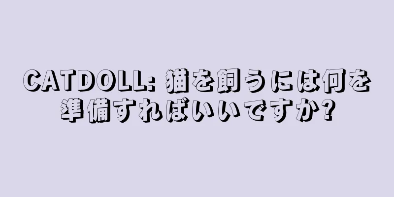 CATDOLL: 猫を飼うには何を準備すればいいですか?