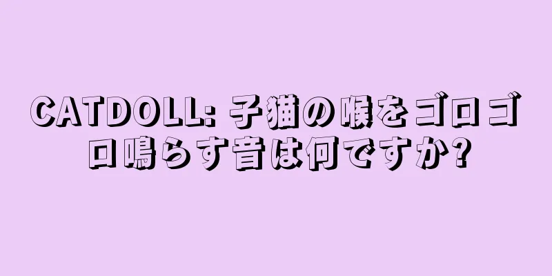 CATDOLL: 子猫の喉をゴロゴロ鳴らす音は何ですか?