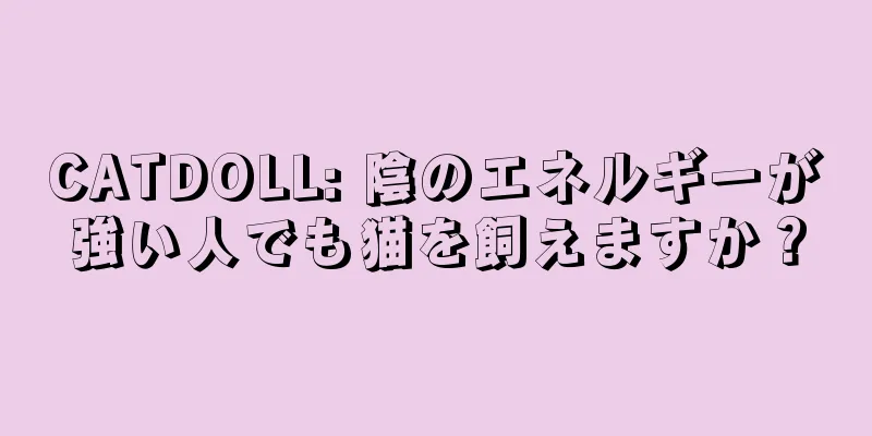 CATDOLL: 陰のエネルギーが強い人でも猫を飼えますか？