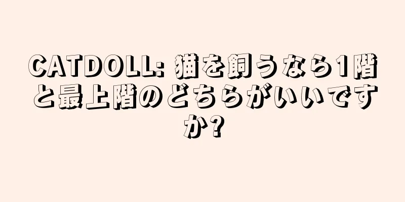 CATDOLL: 猫を飼うなら1階と最上階のどちらがいいですか?
