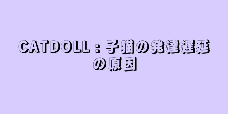 CATDOLL : 子猫の発達遅延の原因