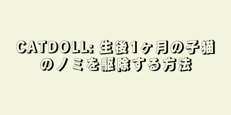CATDOLL: 生後1ヶ月の子猫のノミを駆除する方法