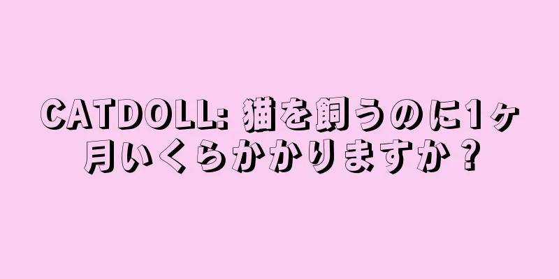 CATDOLL: 猫を飼うのに1ヶ月いくらかかりますか？