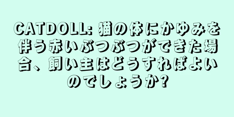 CATDOLL: 猫の体にかゆみを伴う赤いぶつぶつができた場合、飼い主はどうすればよいのでしょうか?