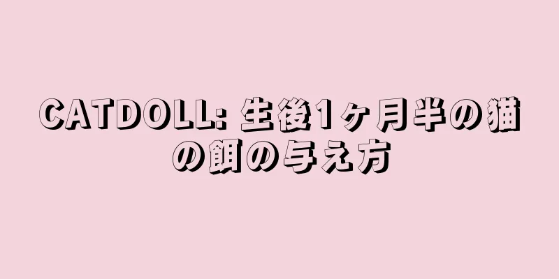 CATDOLL: 生後1ヶ月半の猫の餌の与え方
