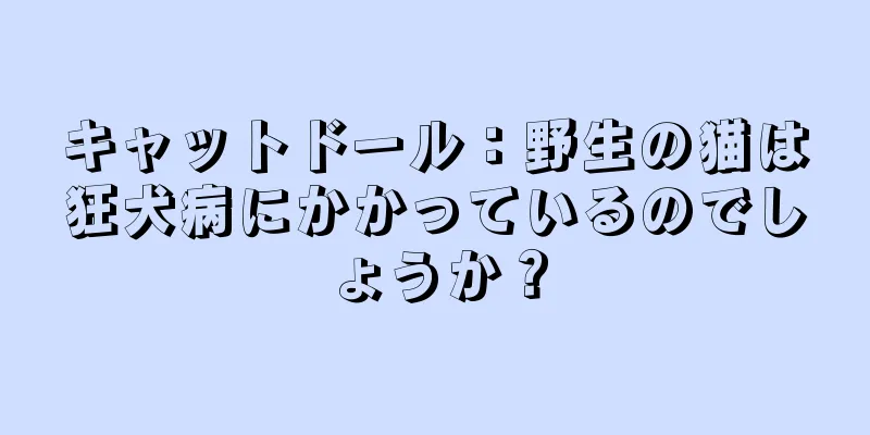 キャットドール：野生の猫は狂犬病にかかっているのでしょうか？