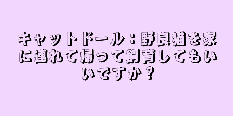 キャットドール：野良猫を家に連れて帰って飼育してもいいですか？