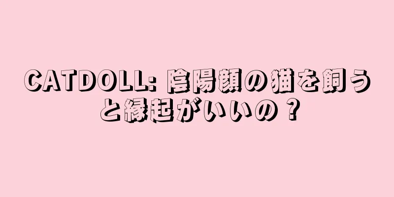CATDOLL: 陰陽顔の猫を飼うと縁起がいいの？