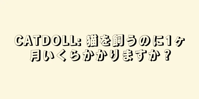 CATDOLL: 猫を飼うのに1ヶ月いくらかかりますか？