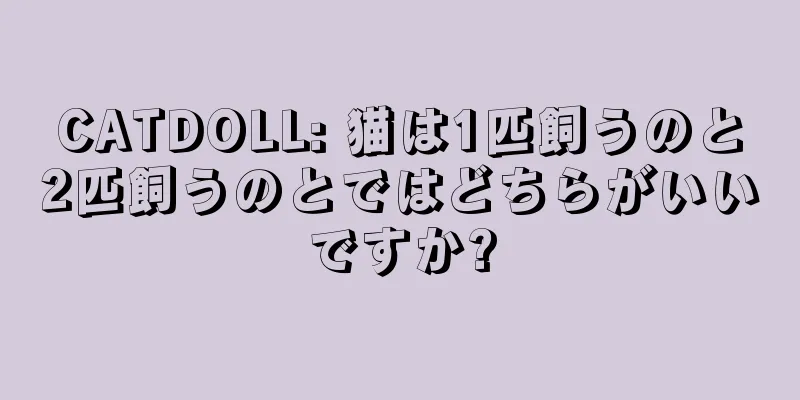 CATDOLL: 猫は1匹飼うのと2匹飼うのとではどちらがいいですか?
