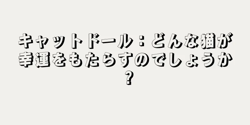 キャットドール：どんな猫が幸運をもたらすのでしょうか？