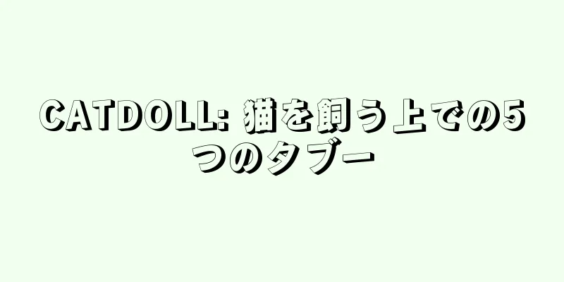 CATDOLL: 猫を飼う上での5つのタブー