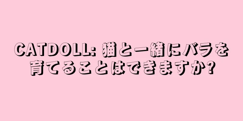 CATDOLL: 猫と一緒にバラを育てることはできますか?