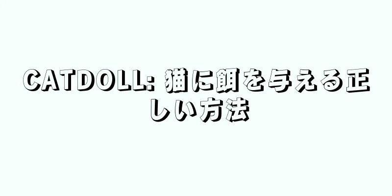 CATDOLL: 猫に餌を与える正しい方法