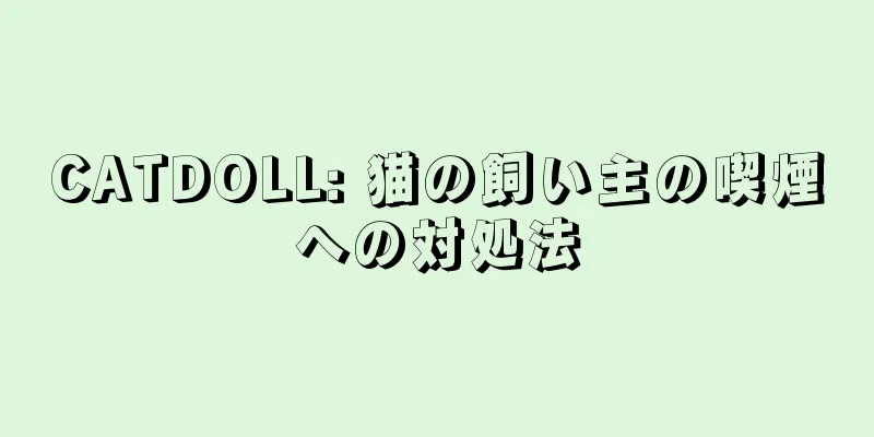 CATDOLL: 猫の飼い主の喫煙への対処法