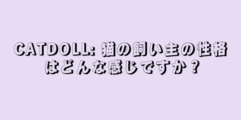 CATDOLL: 猫の飼い主の性格はどんな感じですか？
