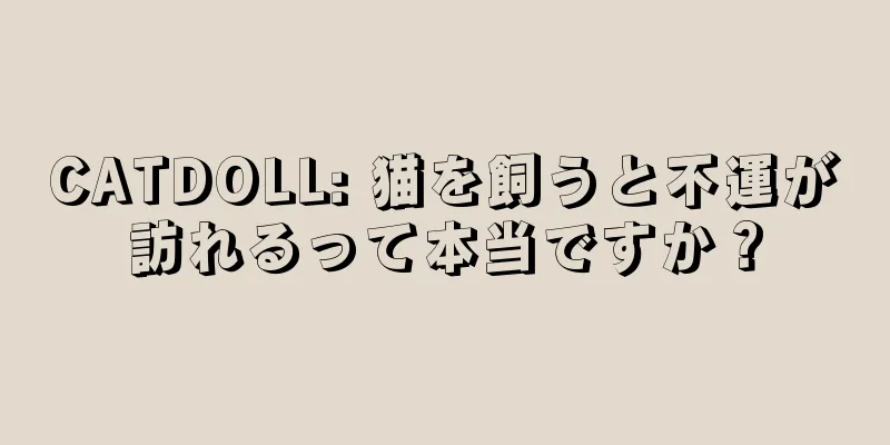 CATDOLL: 猫を飼うと不運が訪れるって本当ですか？