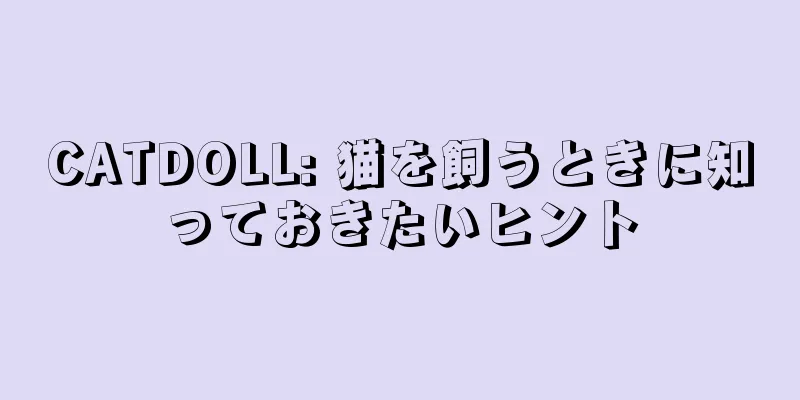 CATDOLL: 猫を飼うときに知っておきたいヒント