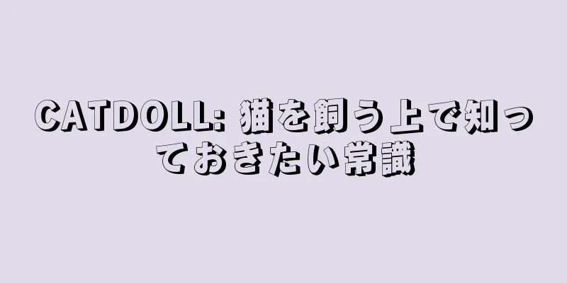 CATDOLL: 猫を飼う上で知っておきたい常識