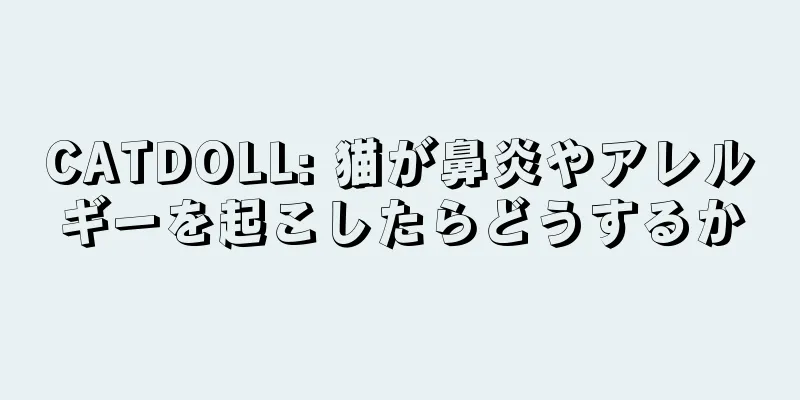CATDOLL: 猫が鼻炎やアレルギーを起こしたらどうするか