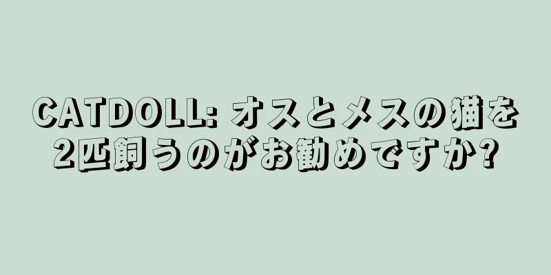 CATDOLL: オスとメスの猫を2匹飼うのがお勧めですか?