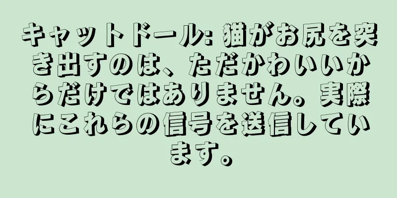 キャットドール: 猫がお尻を突き出すのは、ただかわいいからだけではありません。実際にこれらの信号を送信しています。