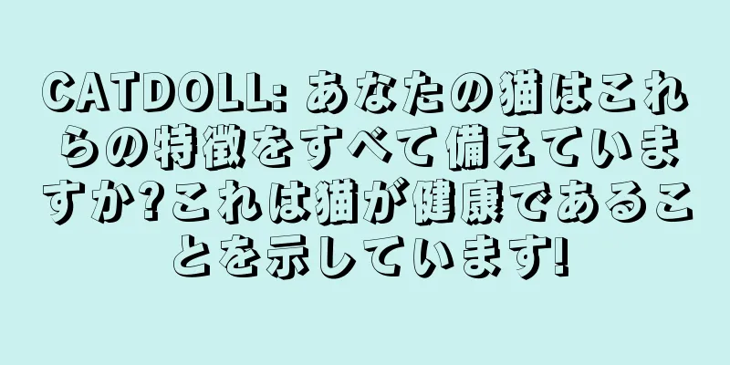 CATDOLL: あなたの猫はこれらの特徴をすべて備えていますか?これは猫が健康であることを示しています!