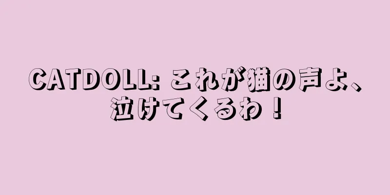 CATDOLL: これが猫の声よ、泣けてくるわ！