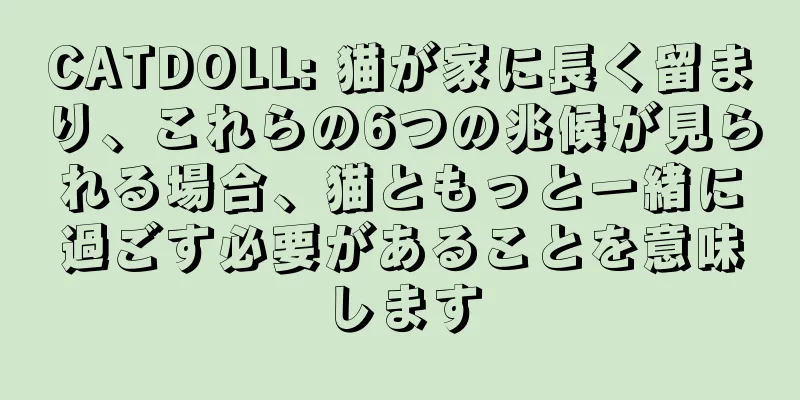 CATDOLL: 猫が家に長く留まり、これらの6つの兆候が見られる場合、猫ともっと一緒に過ごす必要があることを意味します