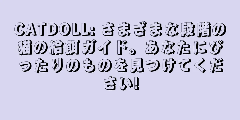 CATDOLL: さまざまな段階の猫の給餌ガイド。あなたにぴったりのものを見つけてください!