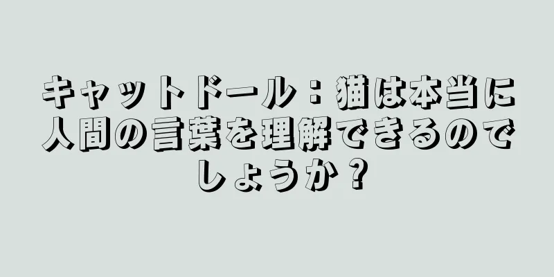 キャットドール：猫は本当に人間の言葉を理解できるのでしょうか？