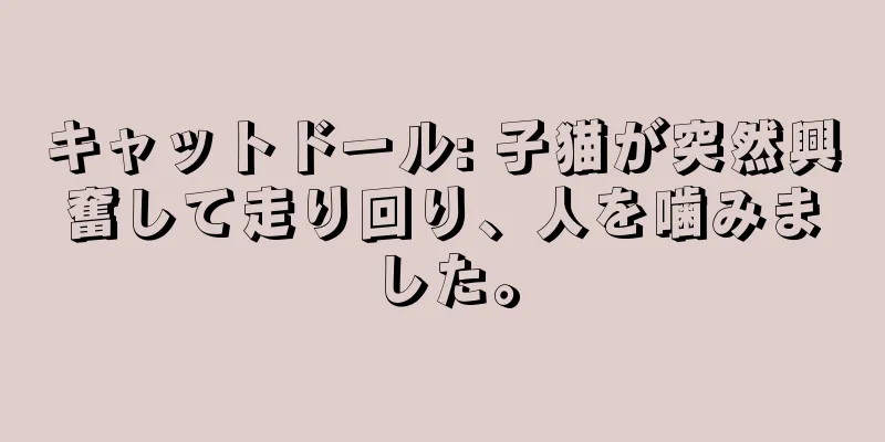 キャットドール: 子猫が突然興奮して走り回り、人を噛みました。