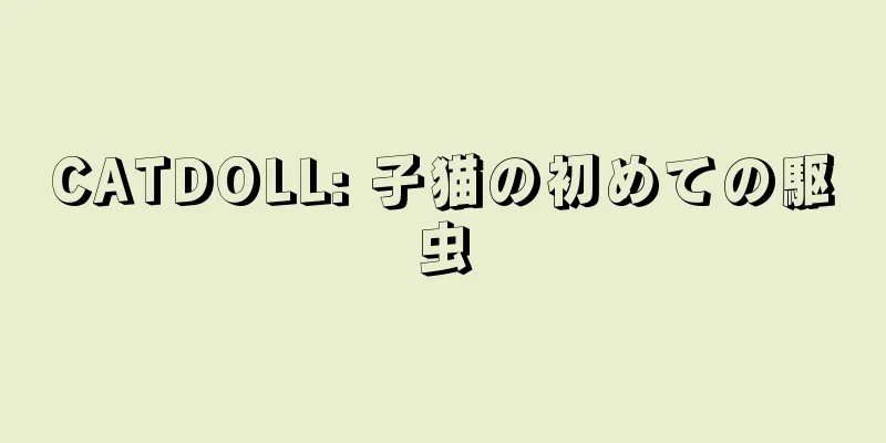 CATDOLL: 子猫の初めての駆虫