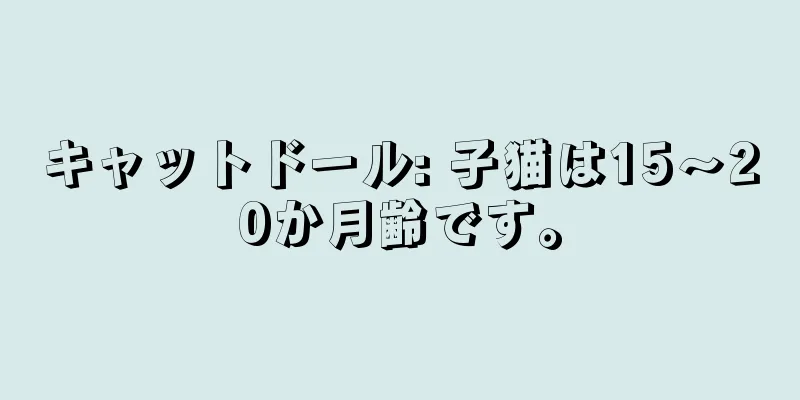 キャットドール: 子猫は15〜20か月齢です。