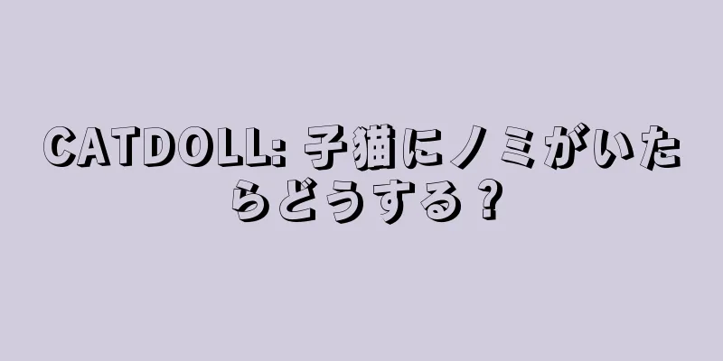 CATDOLL: 子猫にノミがいたらどうする？