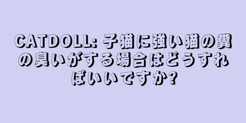 CATDOLL: 子猫に強い猫の糞の臭いがする場合はどうすればいいですか?