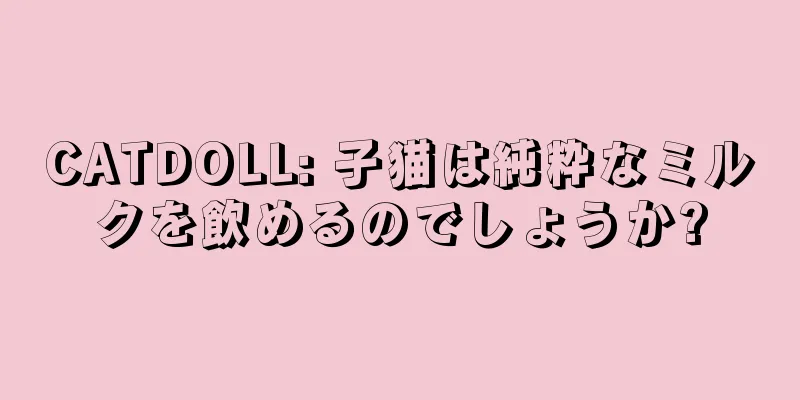 CATDOLL: 子猫は純粋なミルクを飲めるのでしょうか?