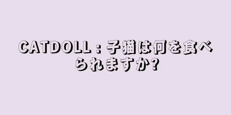CATDOLL : 子猫は何を食べられますか?
