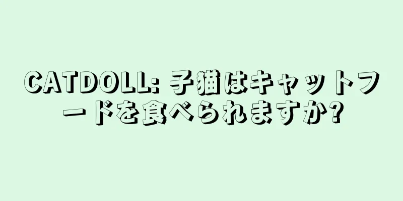 CATDOLL: 子猫はキャットフードを食べられますか?