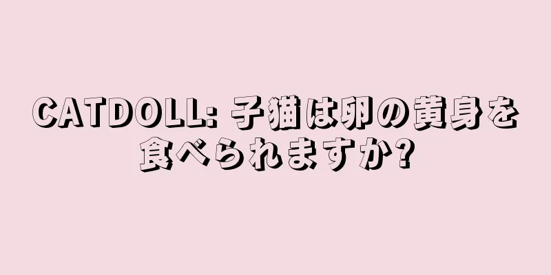 CATDOLL: 子猫は卵の黄身を食べられますか?